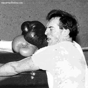 Tony Abbott getting punched in the face