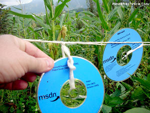 Microsoft MSDN software disk scarecrow in cornfield