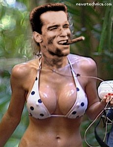 Arnold Schwarzenegger as Nicola McLean